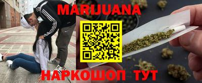 гидропоника Будённовск