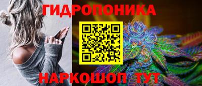 гидропоника Будённовск