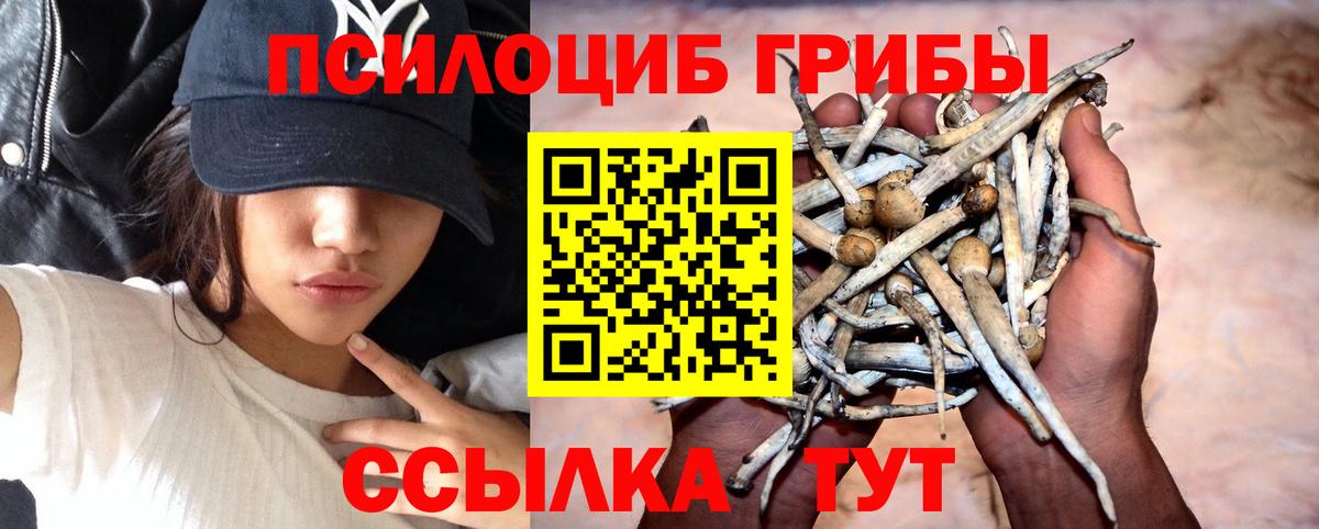 Псилоцибиновые грибы Cubensis Копейск